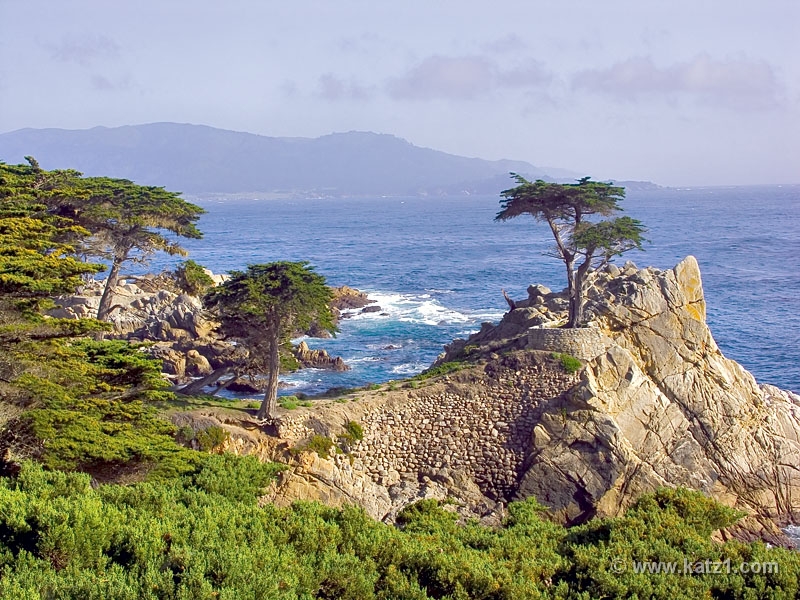 17 Mile Drive 4